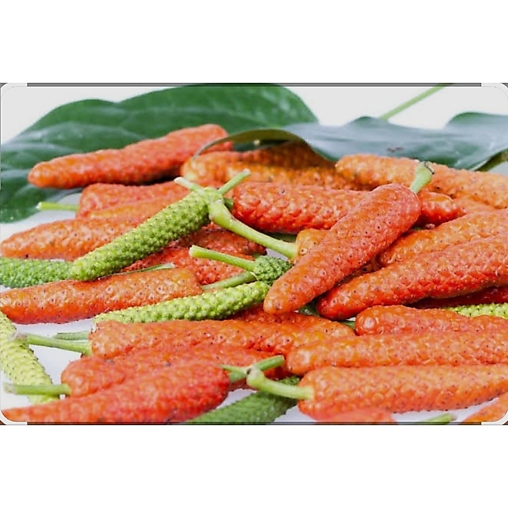 Cabe Jawa / Cabai Jamu Segar Berkualitas