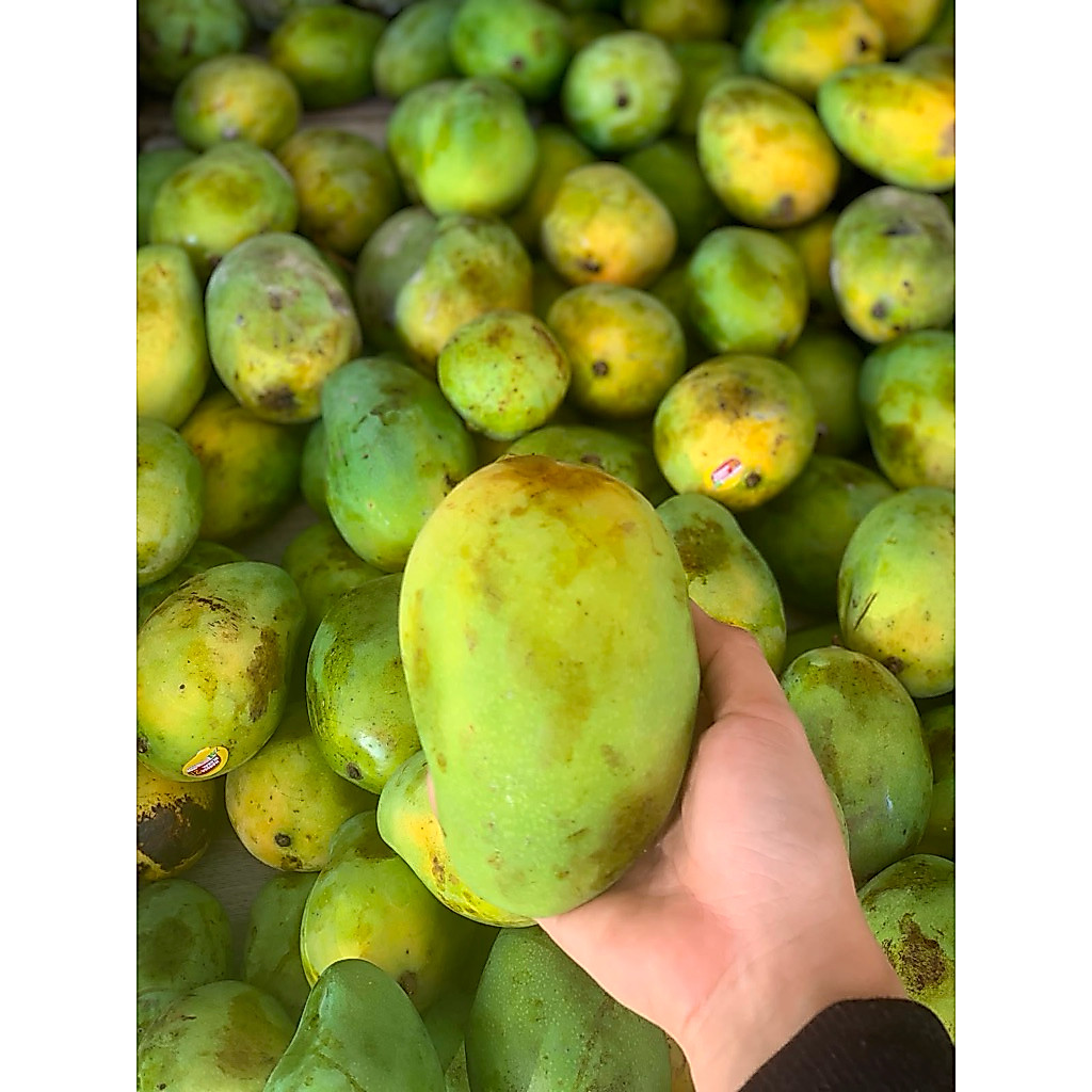 Mangga Gadung
