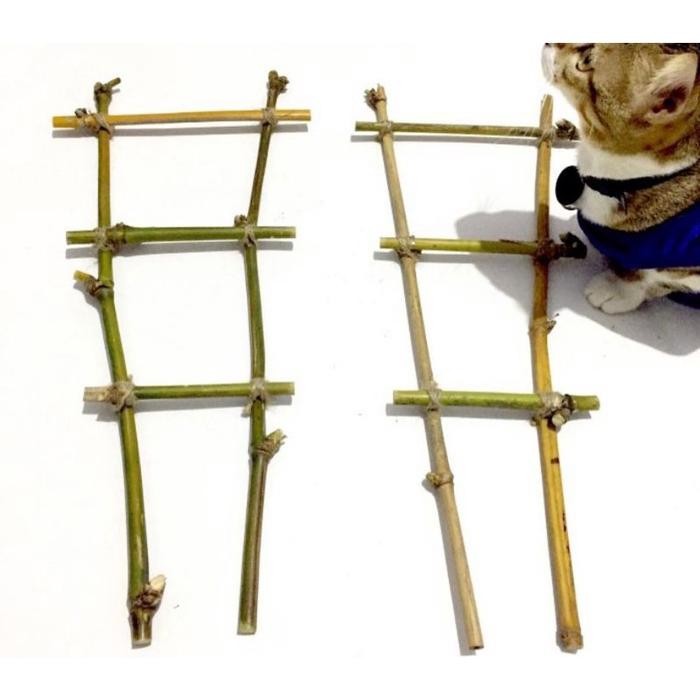 Penyangga Tanaman-Turus Bambu-Turus Tanaman Rambat / Turus Tangga - Turus, 45Cm