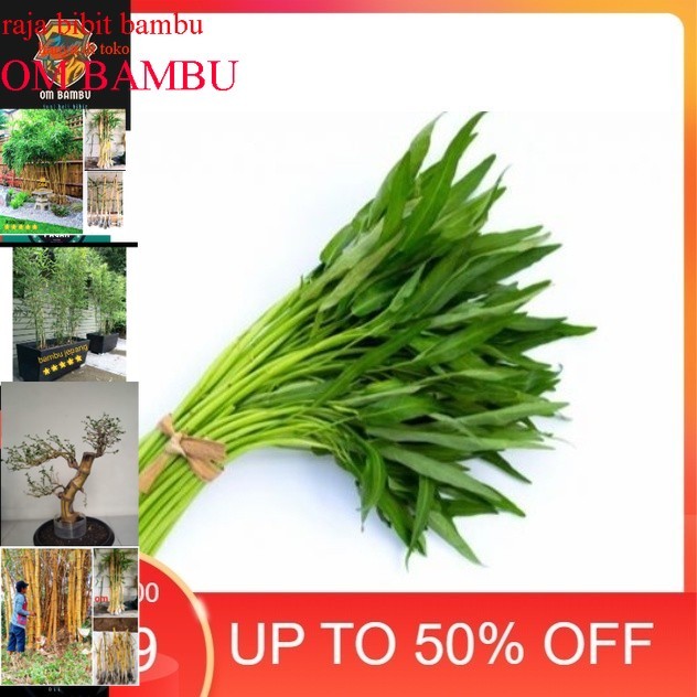 

SayurHD Sayur Kangkung 1 Ikat #murah