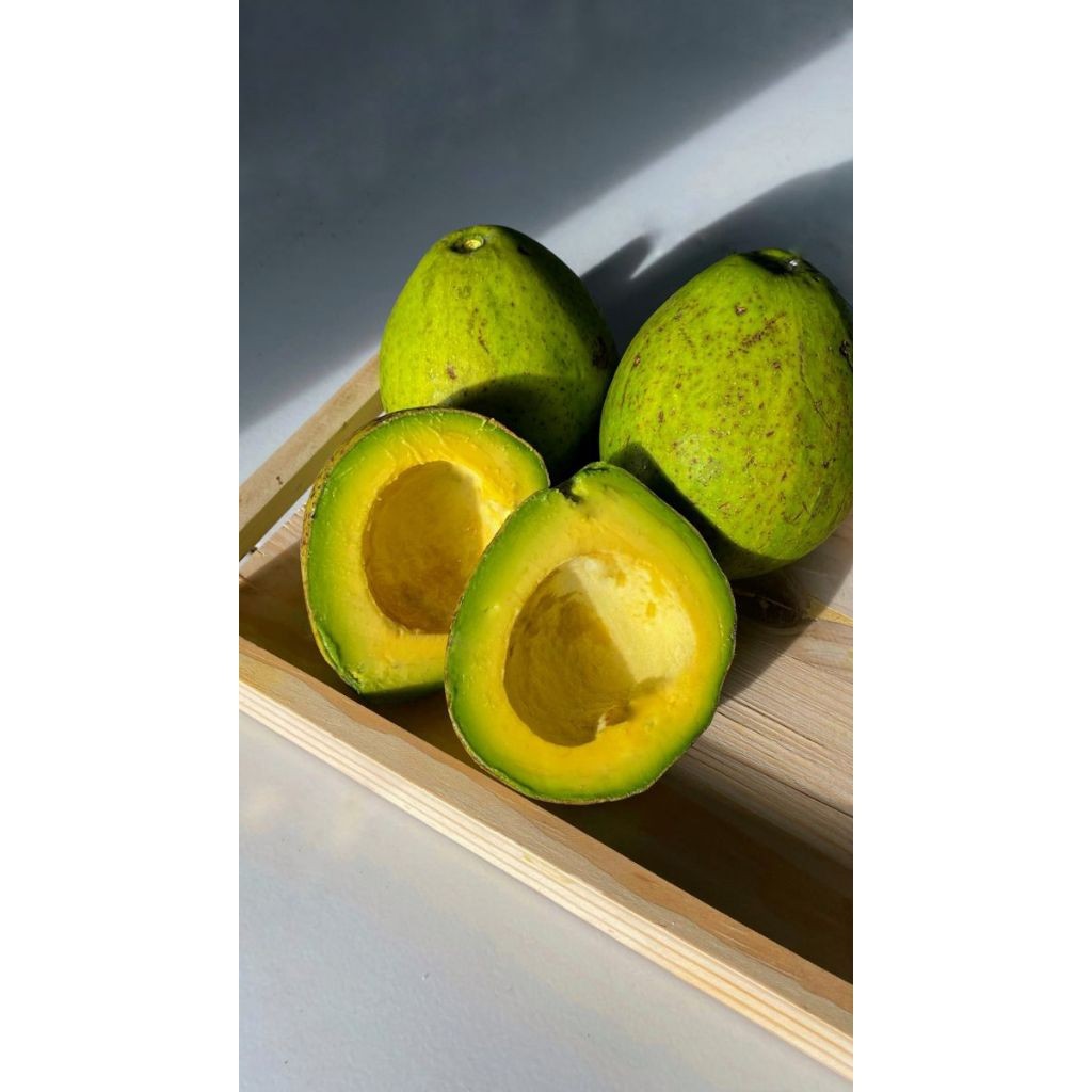 

^ Alpukat Mentega Lezat fresh 1 kg / 5-6-7 kirim mentah torolok ^