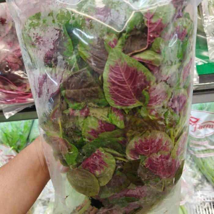 

Bayam merah lurik fresh pack