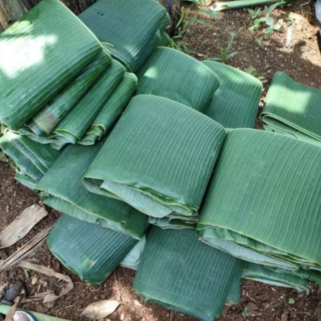 

[SJ] Daun Pisang Hijau Bersih – Pilihan Alami untuk Dapur & Acara 1Kg ready stock