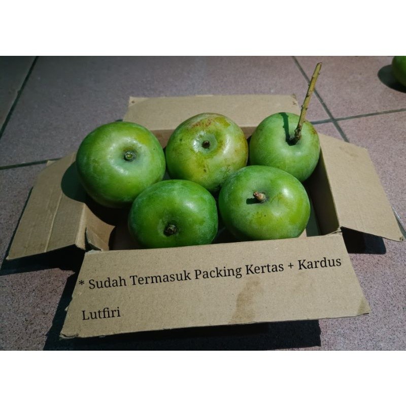 

Mangga apel Mentah 1 kilogram ( rasa masam / asam ) Pas Buat di rujak dan di makan segar mangga muda mantap asam asem