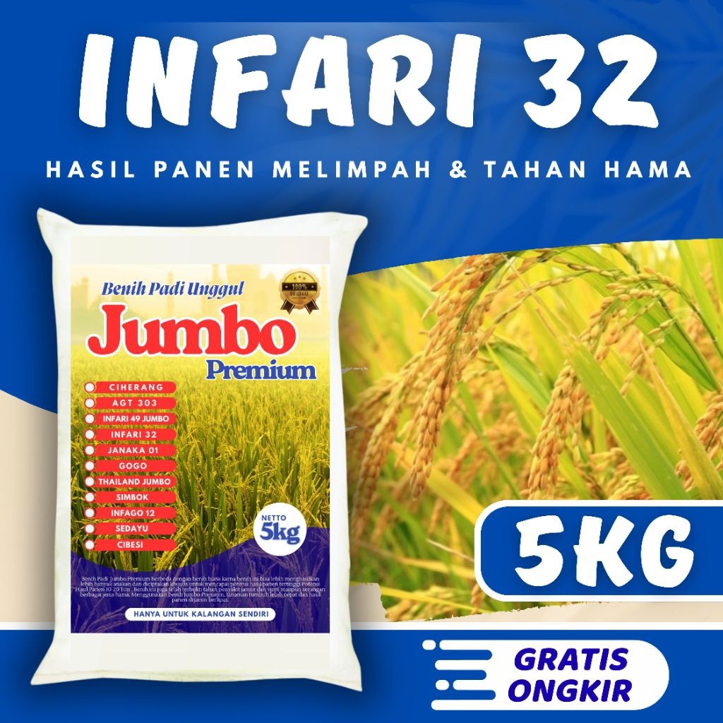 Benih padi unggul inpari 32 original 5kg Berkualitas / Anti Roboh / Anti Hama - SRI JAYA FARM