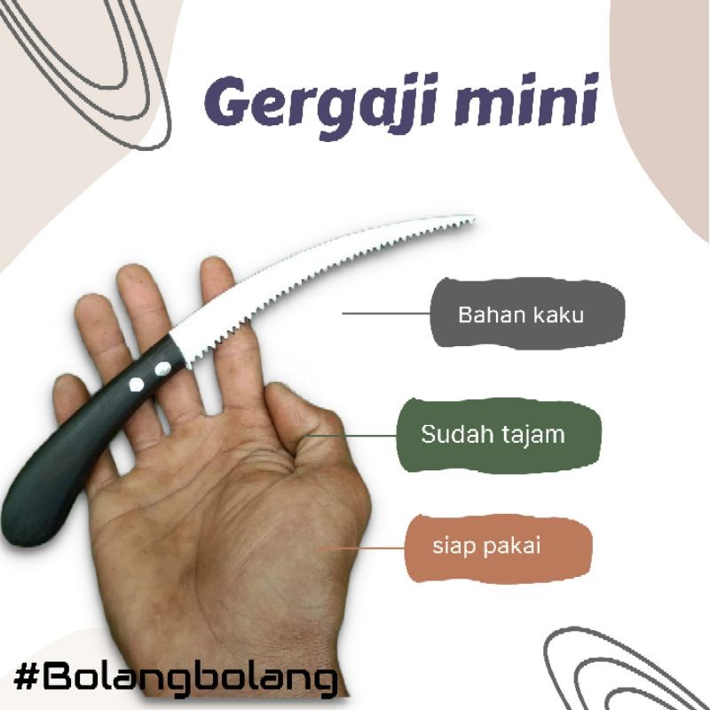 Gergaji pruning bonsai tanaman kopi lengkung tajam kuat asli lumajang
