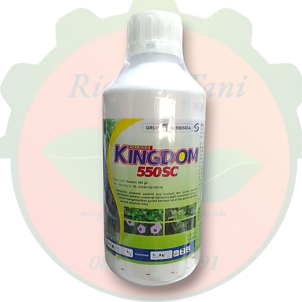Herbisida Sistemik Kingdom 550 SC