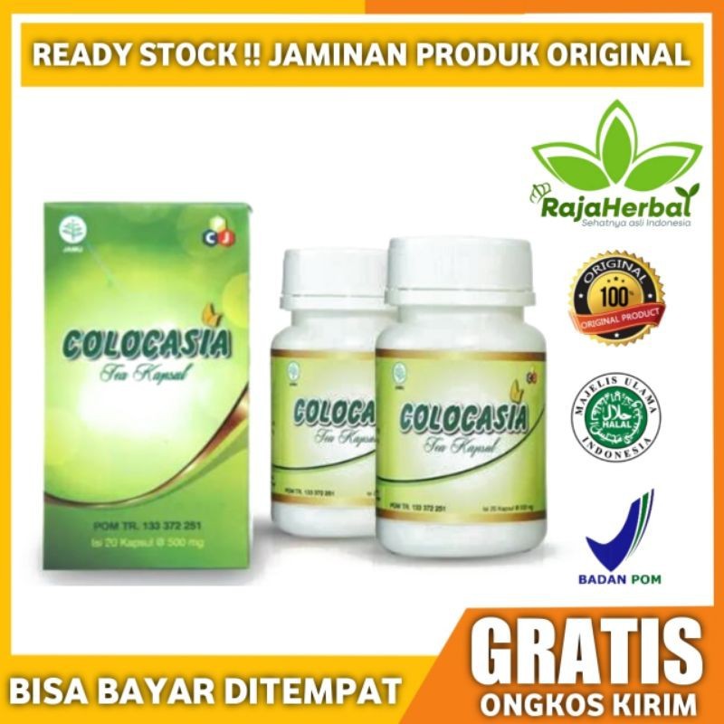 OBAT SENDI COLOCASIA Colocasia Tea Obat Sendi Dan Tulang Asli BPOM 100% Original Obat Nyeri Sendi