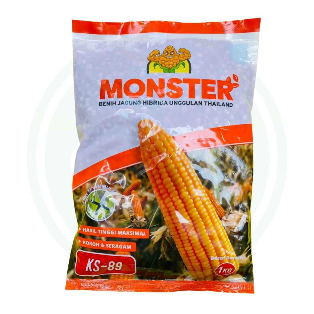 Benih Jagung Hibrida MONSTER KS-89 1KG dari KS SEED