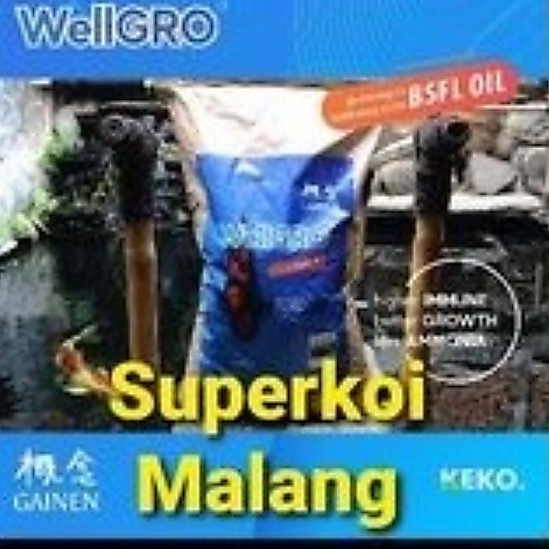 Wellgrow Koi Gainen 15 KG Pakan Ikan Pelet Wellgro Pertumbuhan Growth