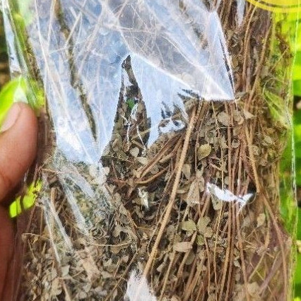 

Promo Meniran Kering - Batang Daun Akar Meniran Kering 75 gram .. ,,