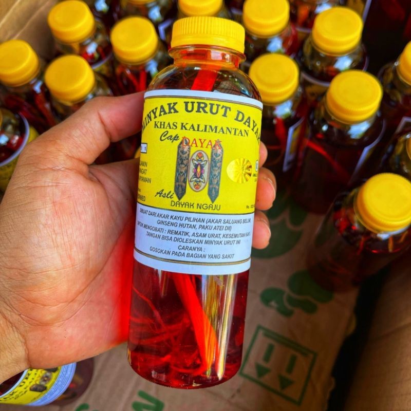 Asli Minyak Urut Dayak Arif Borneo