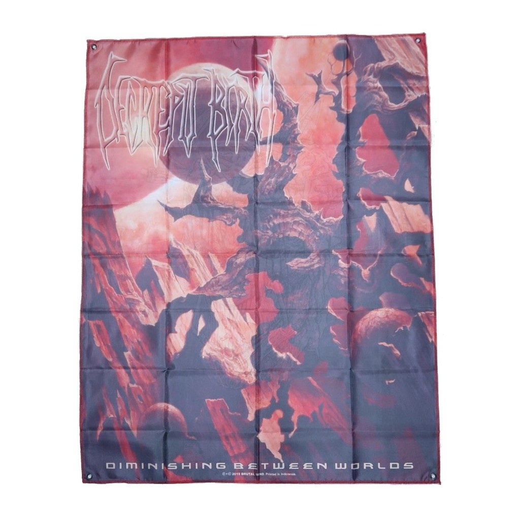 FLAG - DECREPIT BIRTH - Diminishing Between Worlds