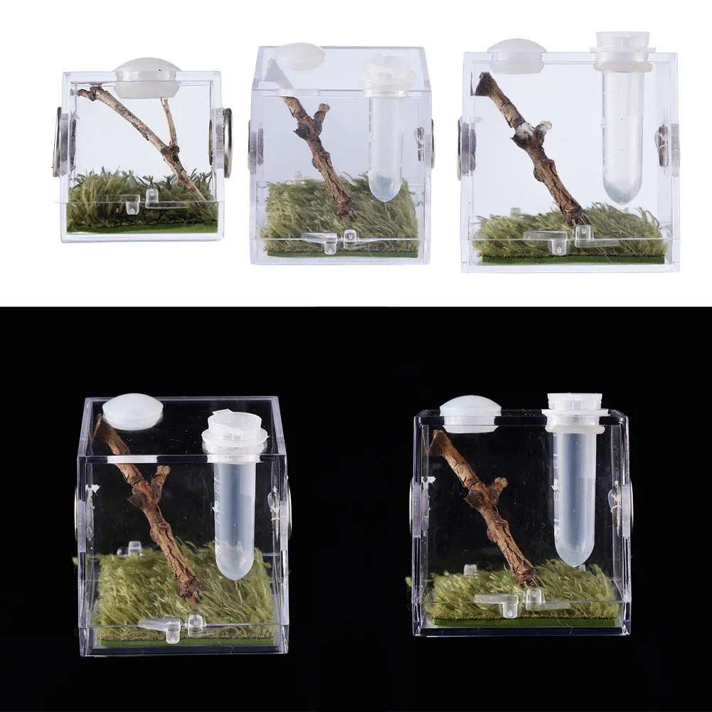 Plastic Transparent Jumping Spider Habitat Acrylic Breeng Box Cage Terrarium Tank Escape Proof For e