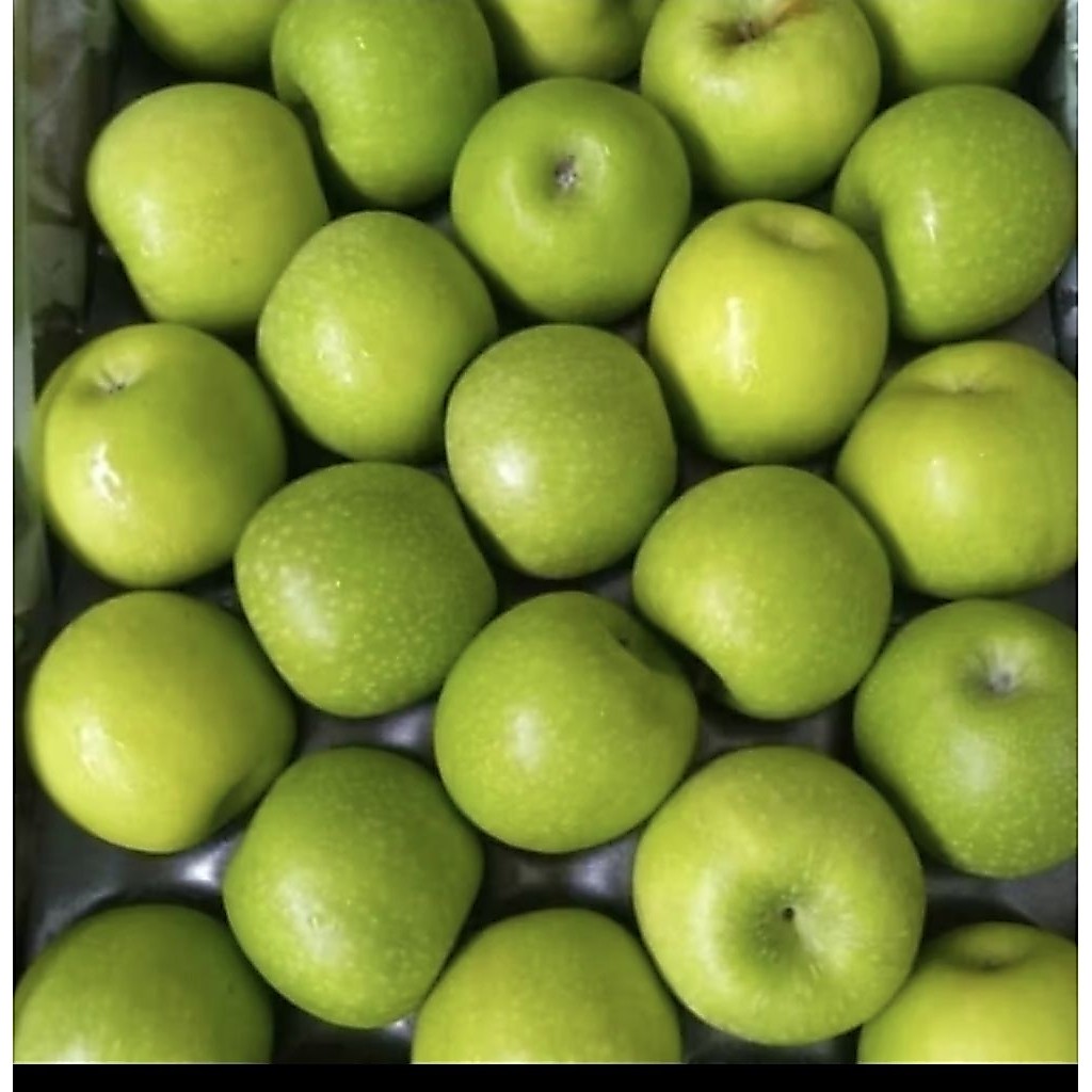 apel hijau/ apel granny smith/ grany smith premium