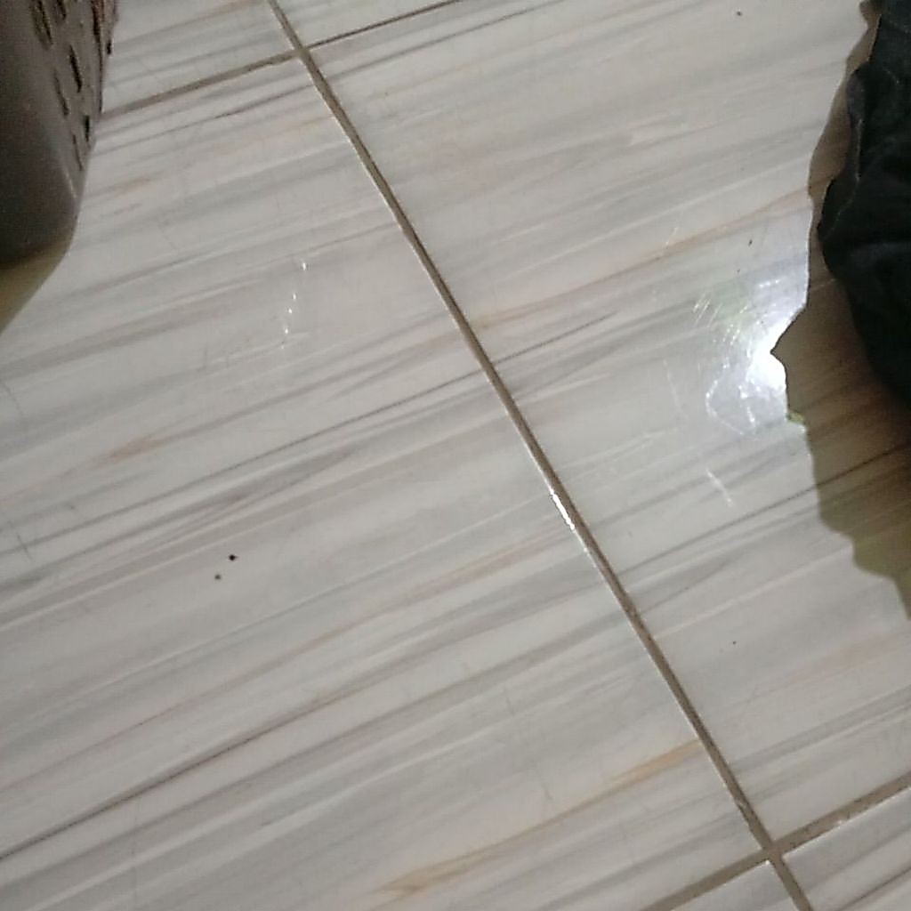 CO Tenonet