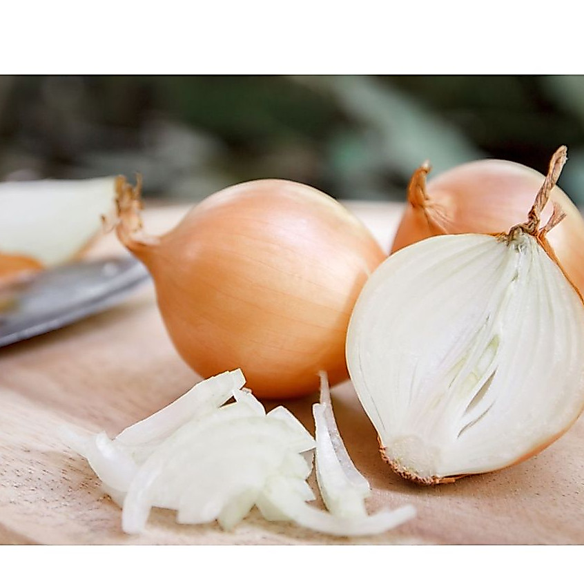 bawang bombay iris & giling halus