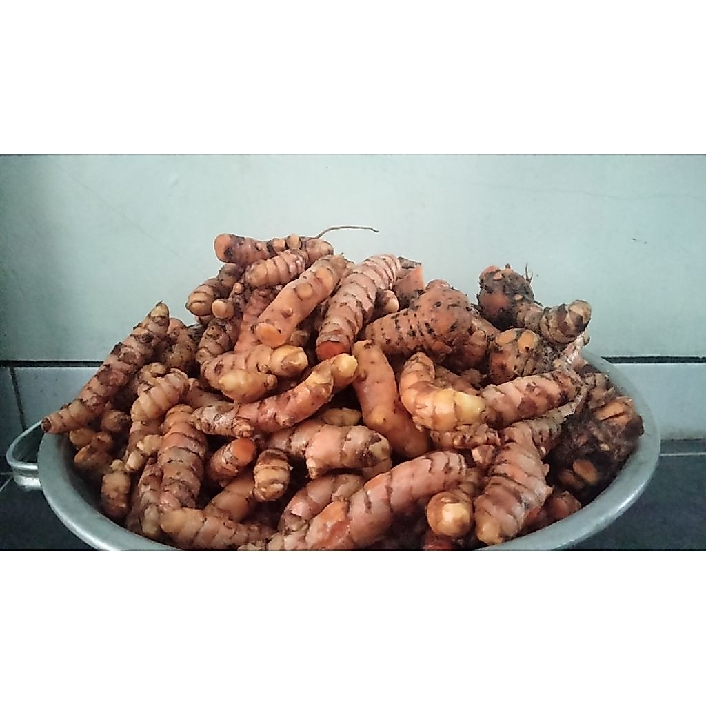 Kunyit 1kg