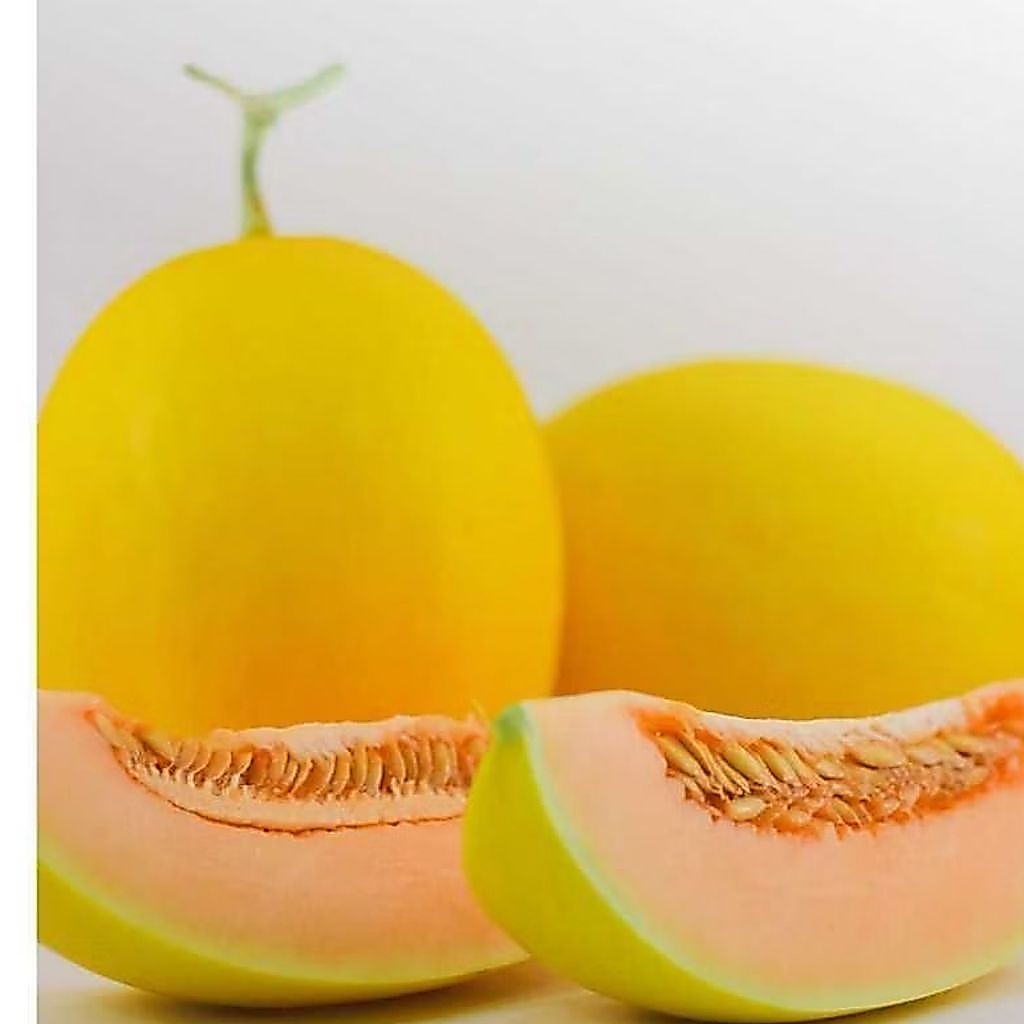 10 BIJI BENIH MELON SWEET LAVENDER