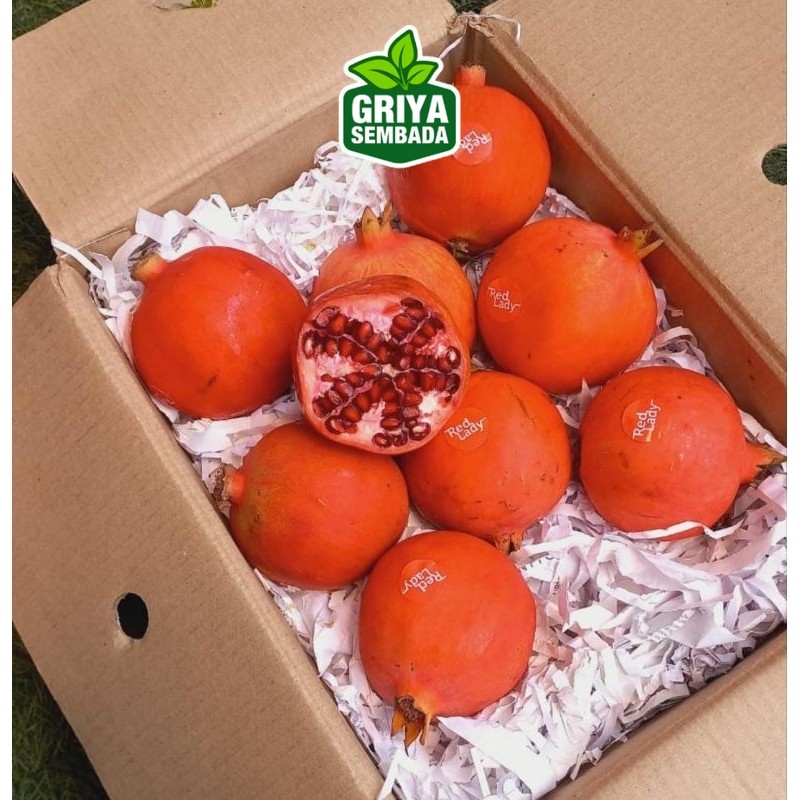 

Delima Import Perkilo Griya sebada/ Semarang