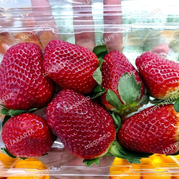 

Strawberry Australia jumbo / pack