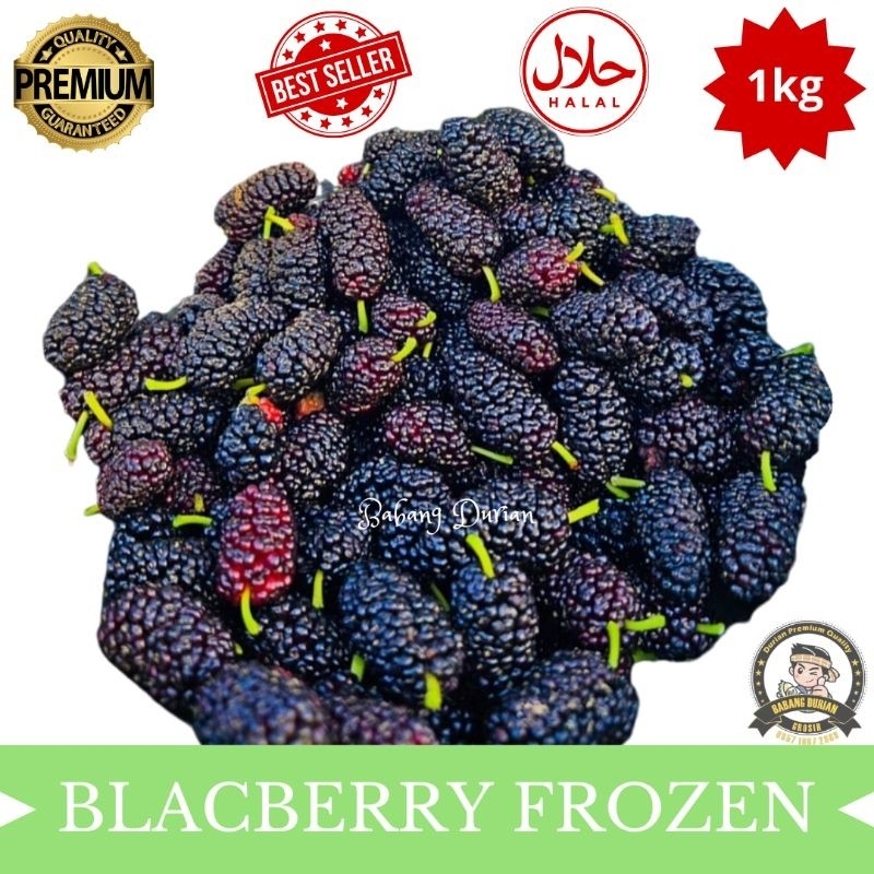 

BUAH BLACKBERRY SUPER IMPORT 1kG FROZEN/BUAH MULBERRY LOKAL