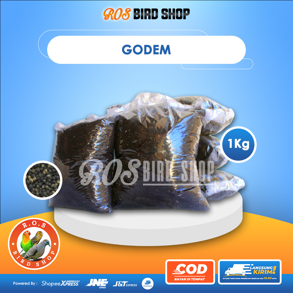 1KG Godem Pakan Burung PERKUTUT BERSIH Sudah Dicuci dan Ditampi