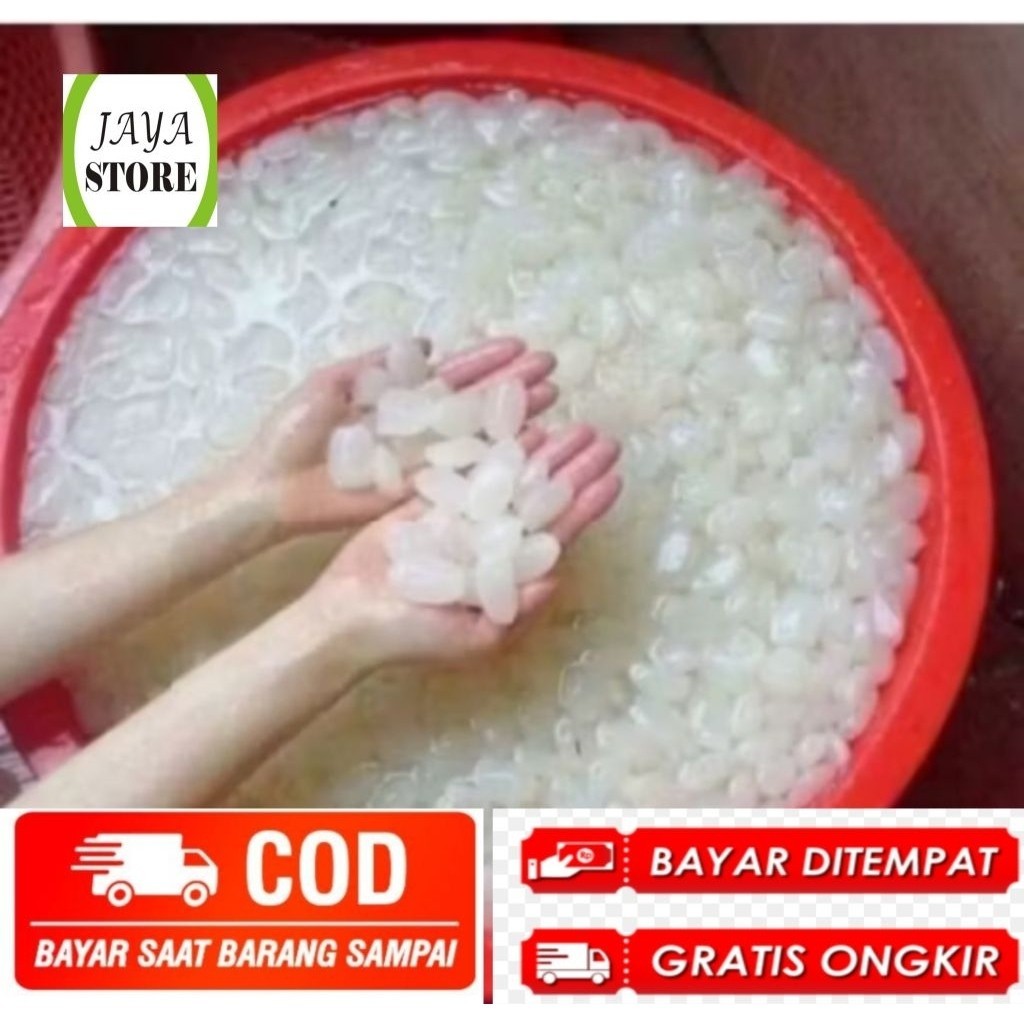 

kolang Kaling muda super segar 1 kg