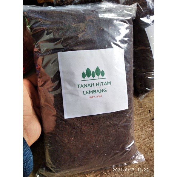 Tanah Lembang - Tanah Media Tanam Siap Pakai - Tanah Untuk Tanaman Hias (kemasan 3 Kg )