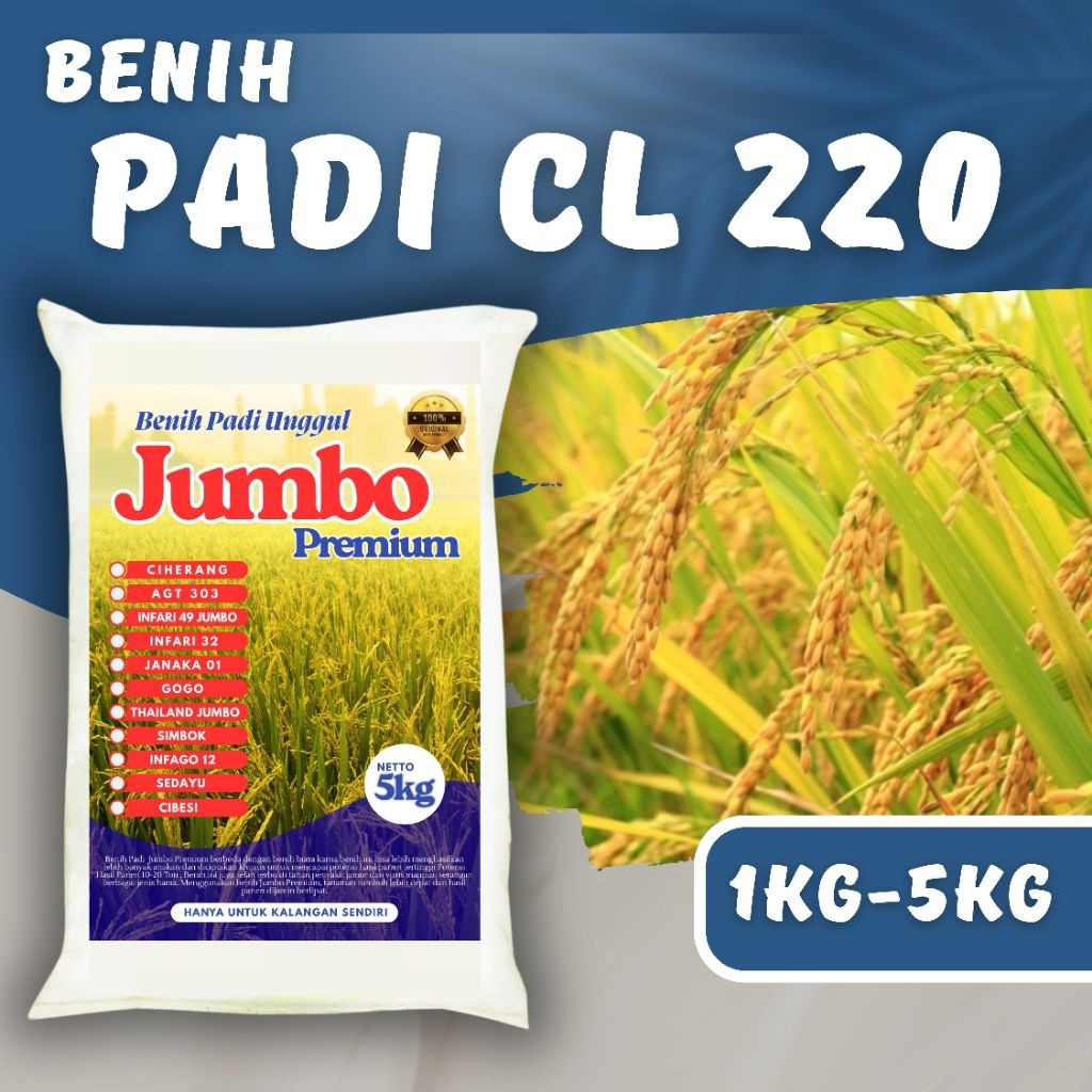 PADI UNGGUL CL 220 KEMASAN 1 - 5 kg Bibit padi Unggul CL 220 KEMASAN 5kg Berkualitas Super