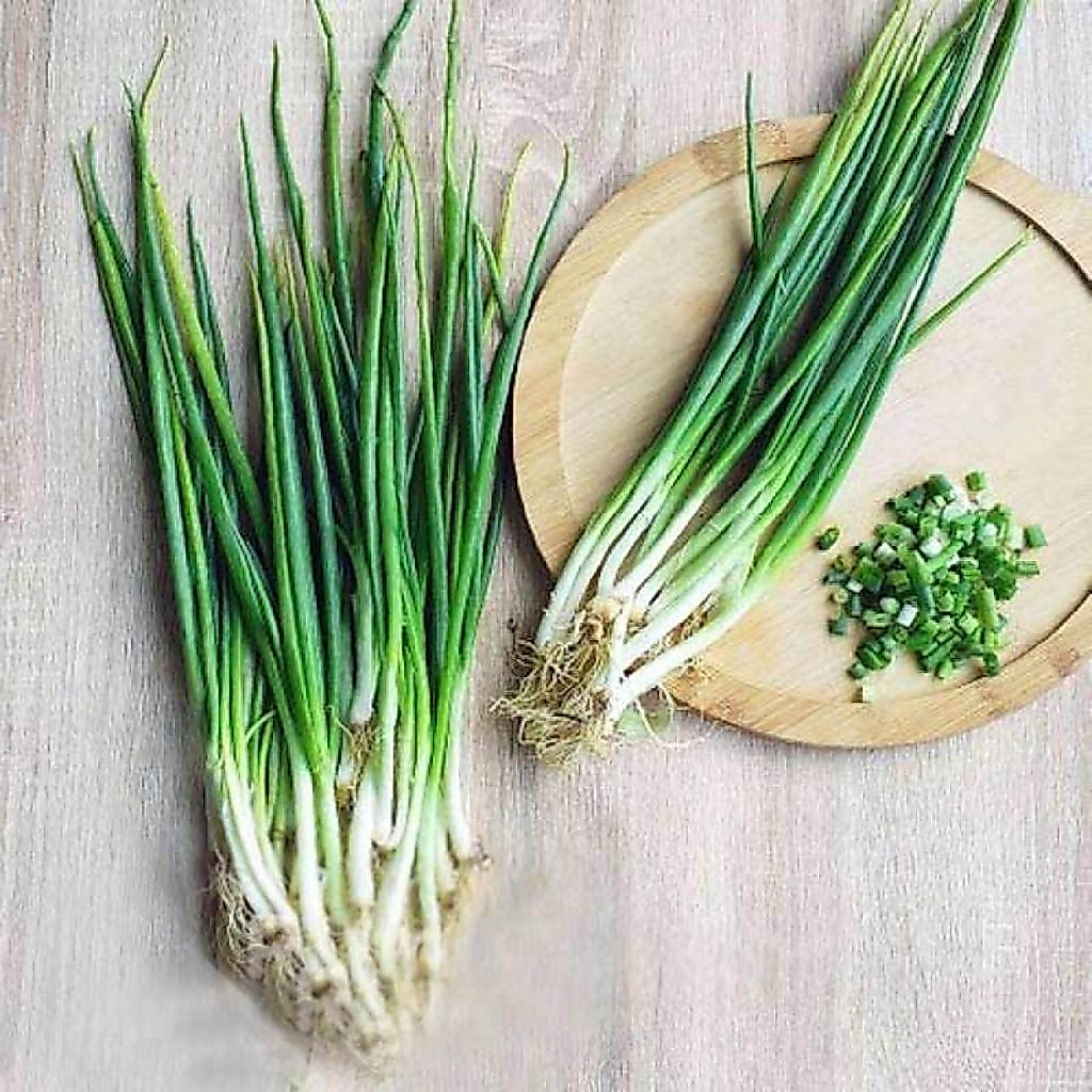 daun bawang kecil
