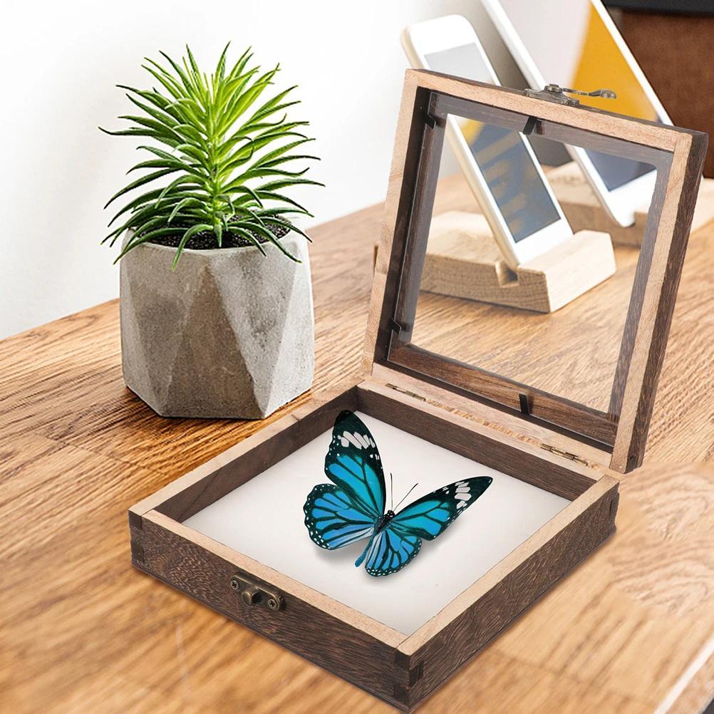 Butterfly Frame Wood Entomology Storage Box ect Specimen splay Box Plant Specimen Case ect Specimen 