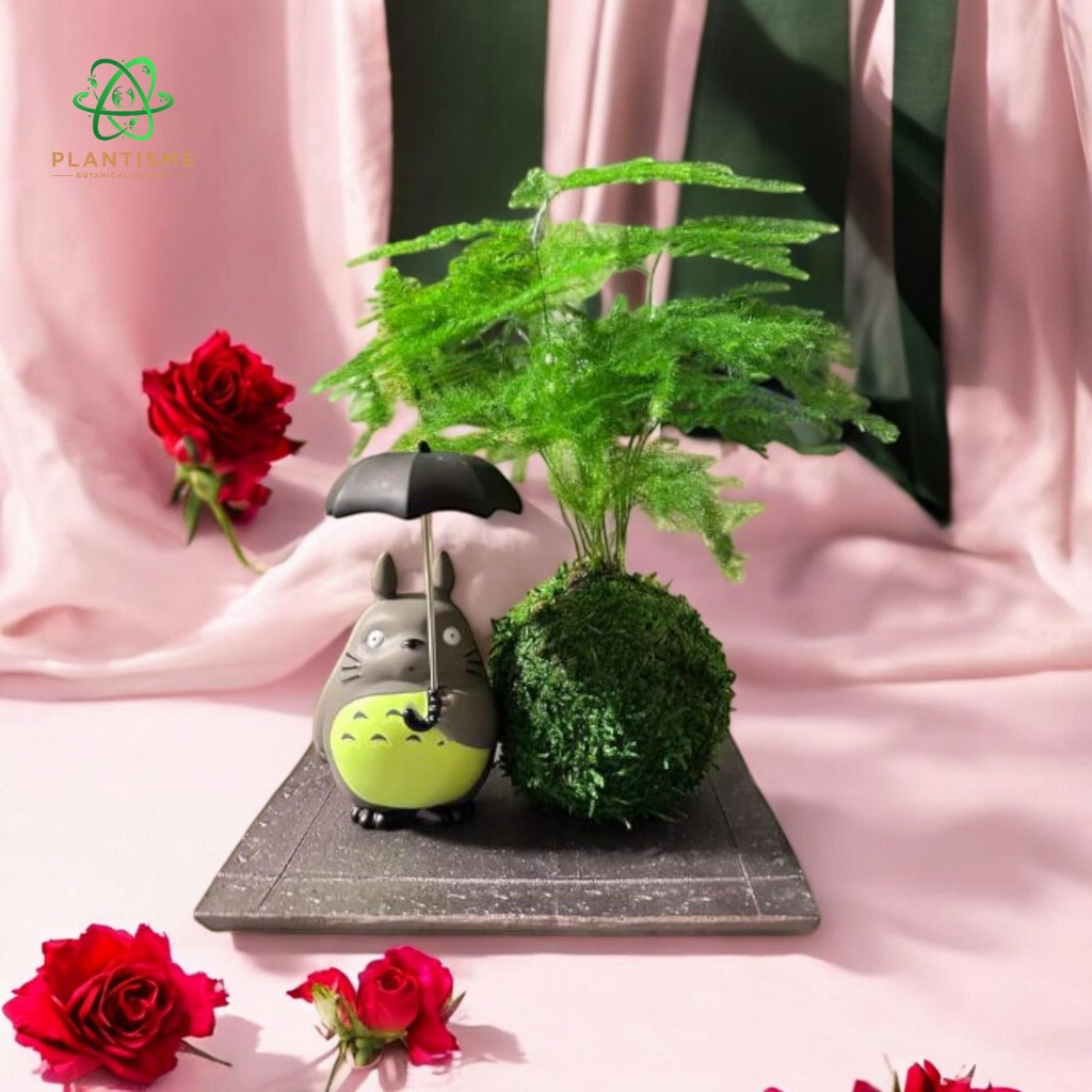 Mossball – Totoro Garden Asparagus Plumosus Tanaman Hias Figure Hijau Koleksi Studio Ghibli