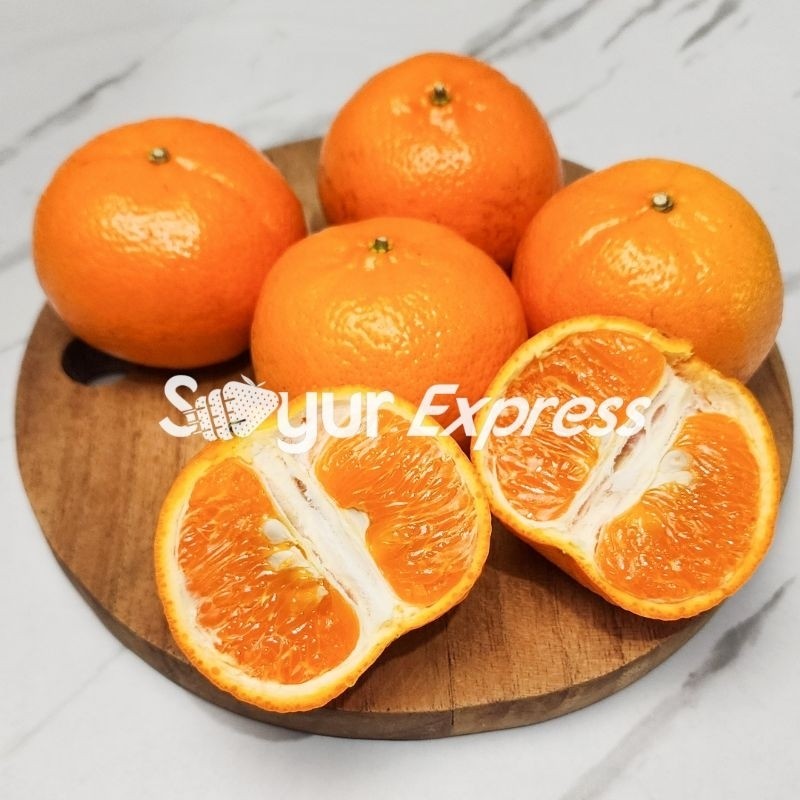 

KIRIM INSTAN Jeruk Mandarin Honey Murcot 1kg