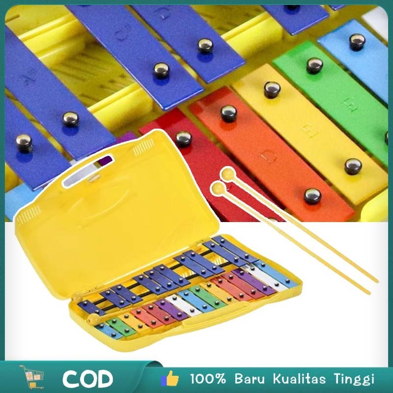 Xylophone Mainan Xylophone Anak Glockenspiel Xylophone Hadir Dalam Kotaknya Sendiri Mainan Edukasi X