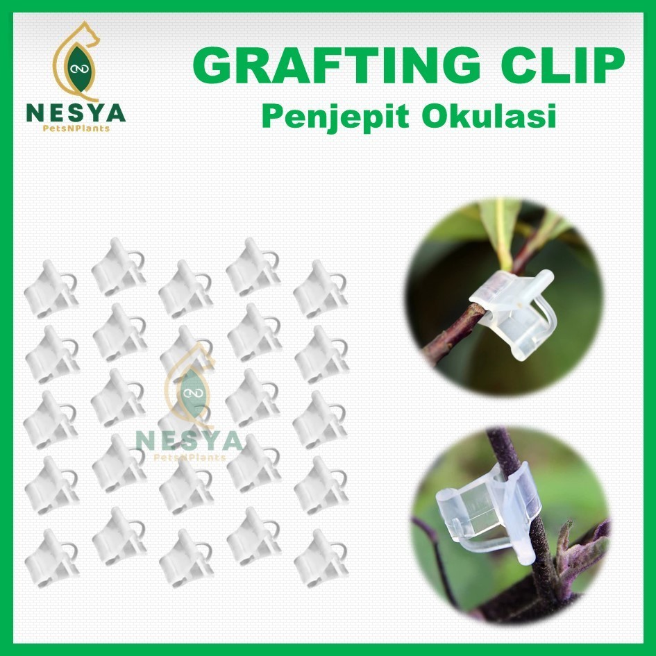 Grafting Clip Penjepit Okulasi Sambung Pucuk Tanaman