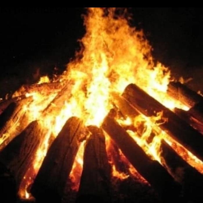 kayu bakar api unggun,kayu bakar untuk api unggun,dll KSI1