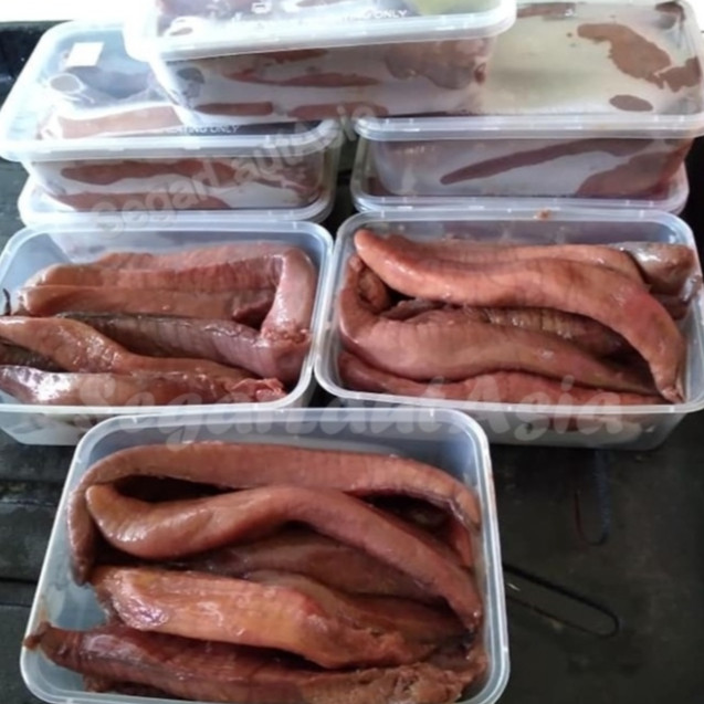 Telur Ikan Tenggiri 1Kg Telor Ikan Tenggiri Segar Telur Ikan Tenggiri Telur Ikan Tenggiri