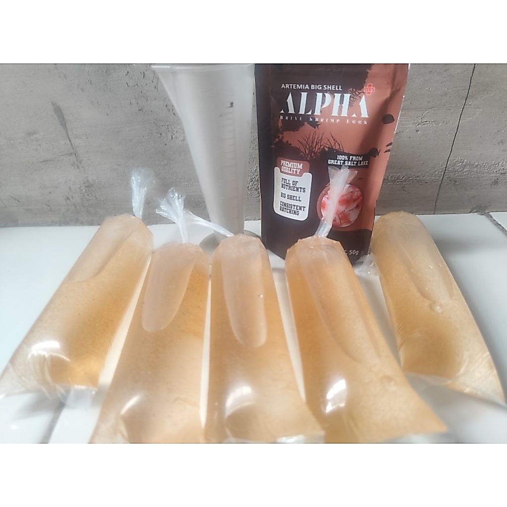 ARTEMIA HIDUP / ARTEMIA TETAS / ARTEMIA ALPHA 100ml