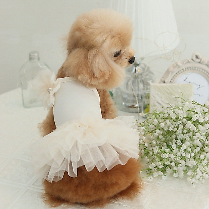 [Pet Lucu] gaun pengantin gaun liburan gaun anjing gaun mewah kain brokat panjang acara