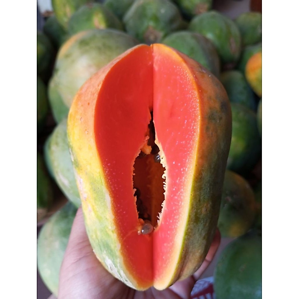 Pepaya Hawai Madu