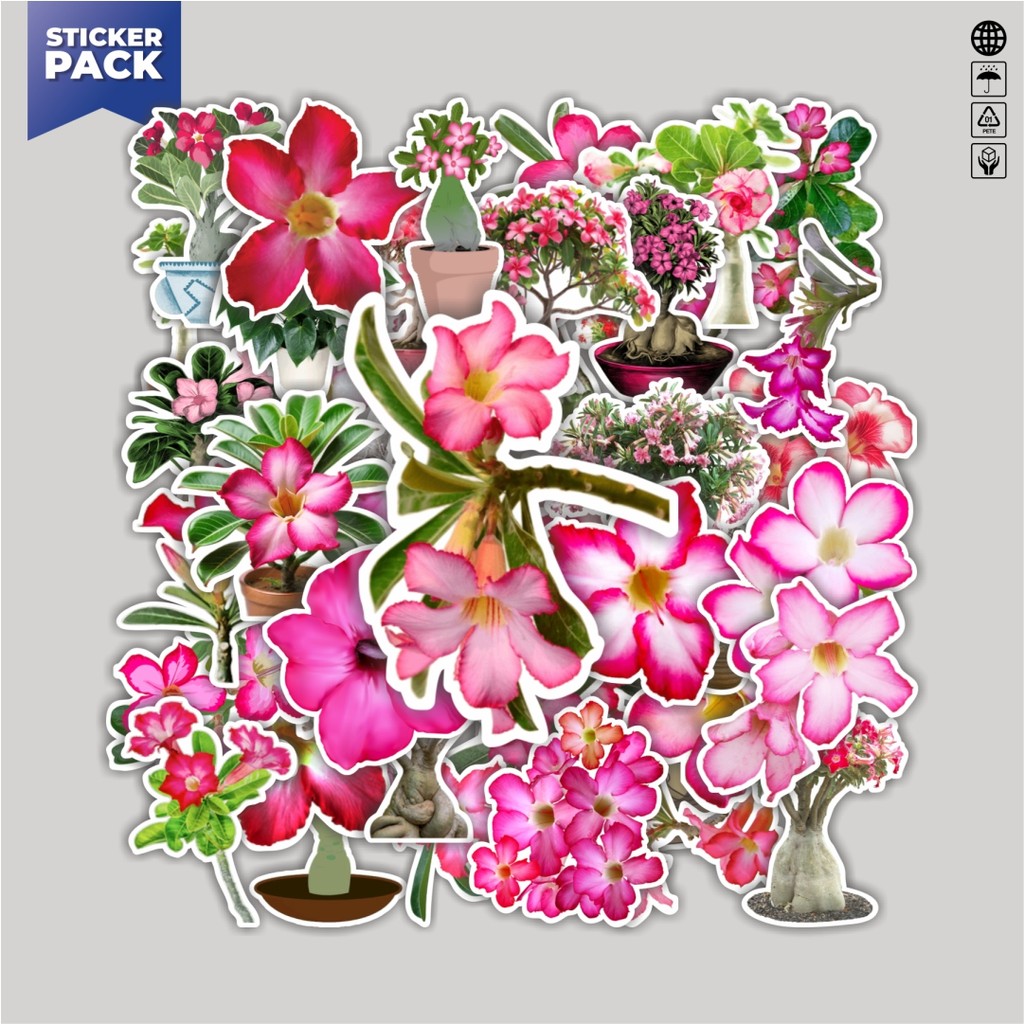 

[100PCS]Stiker Pack Stiker Bunga Adenium Flower Aesthetic Vinyl Anti Air Dekorasi Sticker Laptop Buku Journal Koper Helm Casing HP Gitar Helm Skateboard
