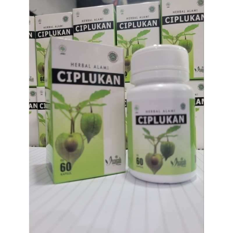 Kapsul Ciplukan Obat stroke ampuh terbukti herbal suplemen untuk terapi saraf dan otak isi 60 kapsul
