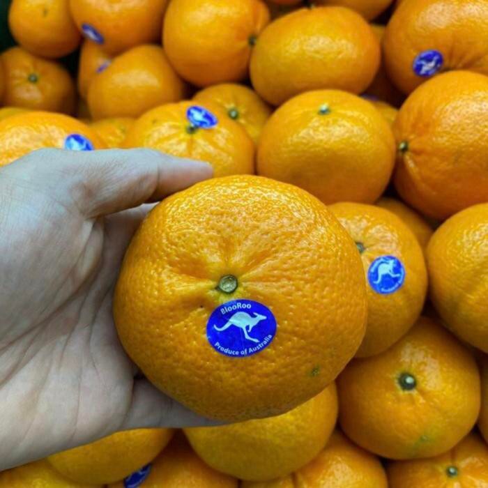 

jeruk honey murcot australia jumbo super 1 kg