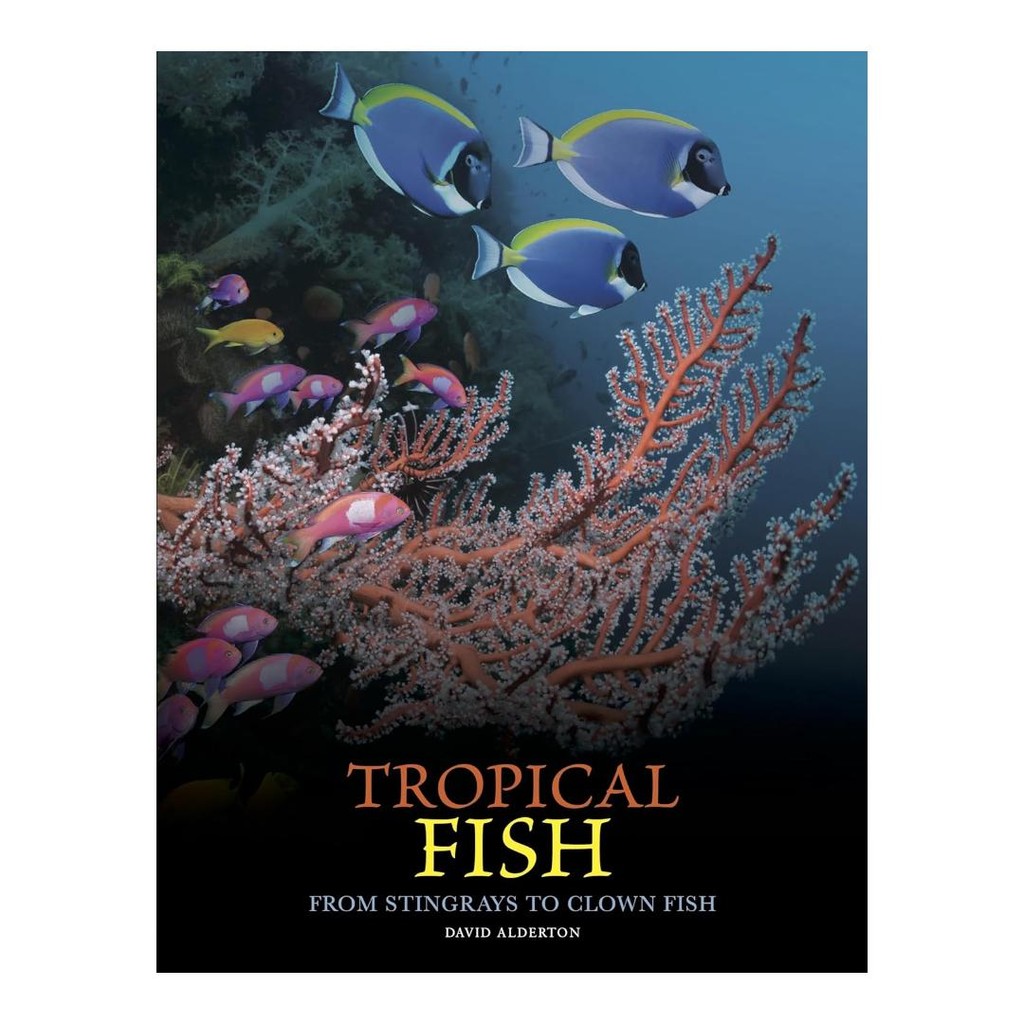 Tropical Fish: From Stingrays to Clown Fish (Animals in Photographs) Hardcover  by David Alderton Bo