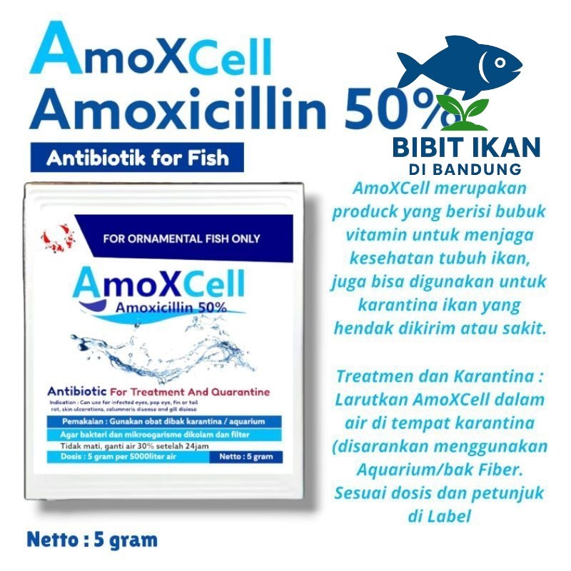 Amoxcell 5gr amoxicillin 50% obat karantina ikan antibiotik untuk ikan hias ikan predator