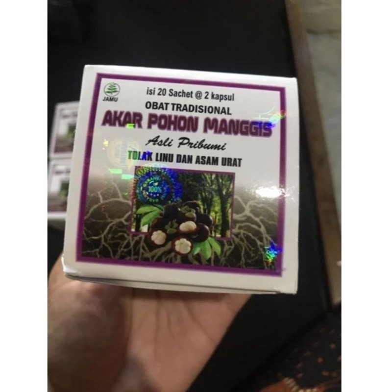 TERLAJAK LARIS !!! AKAR POHON MANGGIS ~ CSNDRA