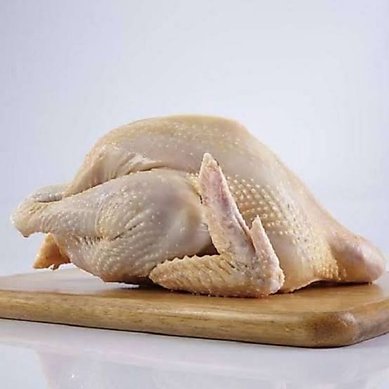 ayam kampung muda ( cocok digoreng)