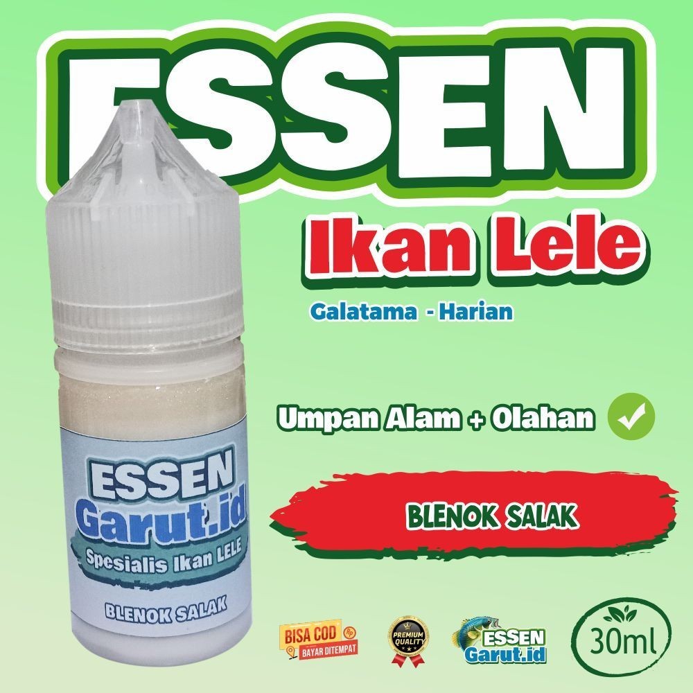 Essen Galatama dan Harian LELE / BLENOK SALAK ESSEN GARUT