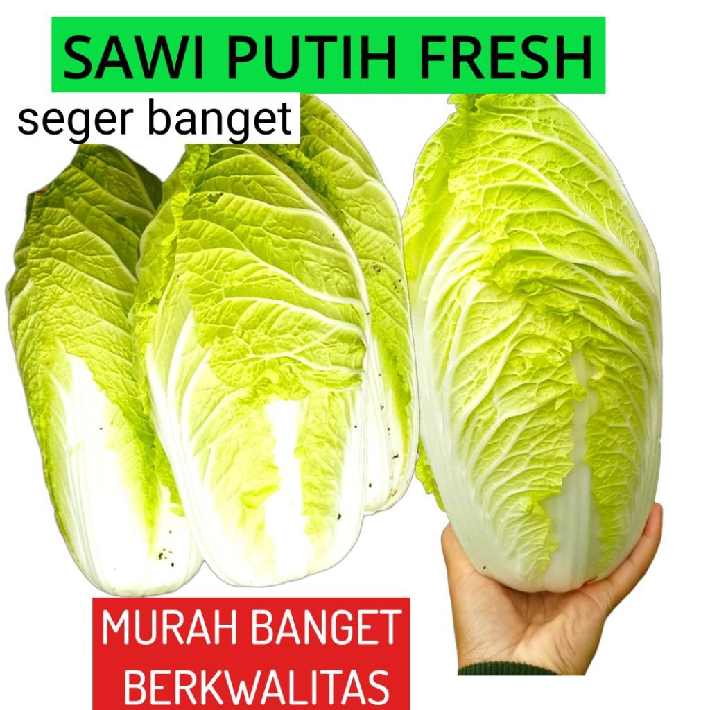 

Sawi Putih 500 gr